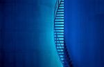 Blaue-Treppe-2-RGB