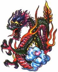 DRACHE02