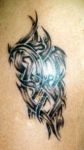 Celtic Tribal8
