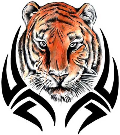 tiger-09