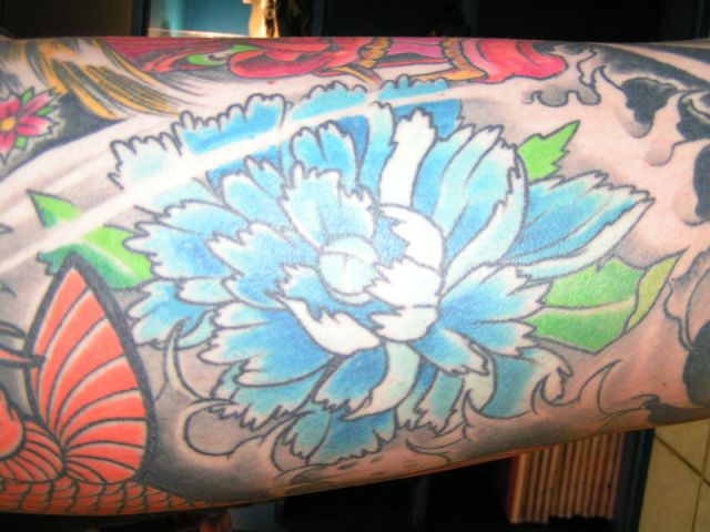 triple-x-austria-PICT0008