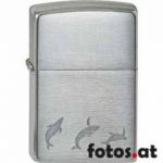 DOLPHIN 100.052 31,00 €.jpg